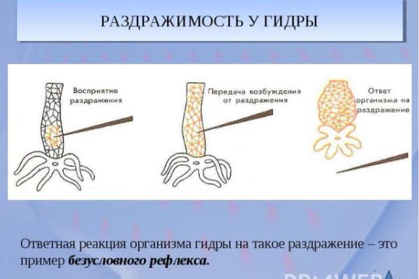 Ссылка на кракен тг