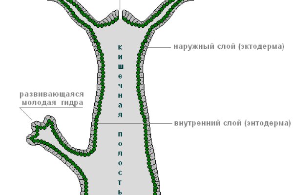 Кракен онлайн
