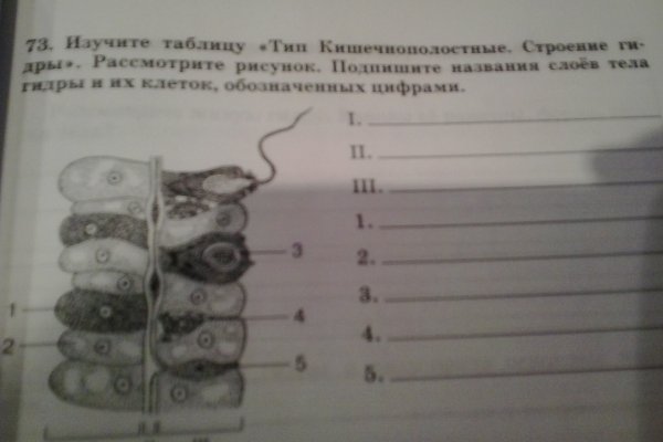 Кракен ссылка прокатис
