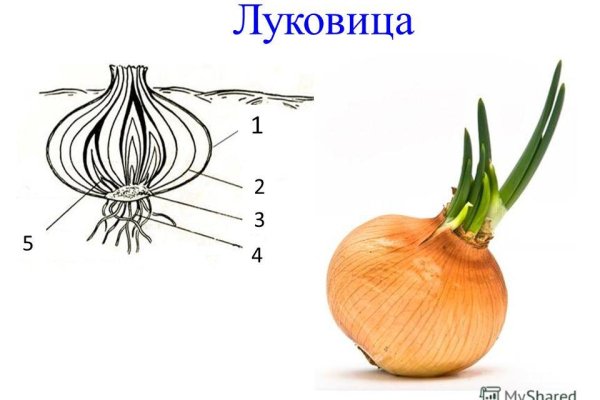 Оригинальная ссылка кракен браузера