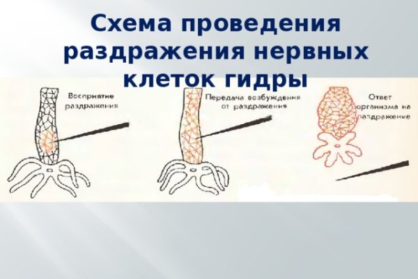 Кракен даркнет зеркало