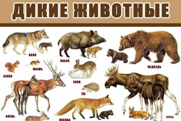 Купить наркотики москва