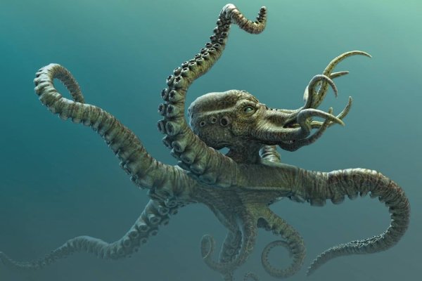 Kraken рабочее зеркало