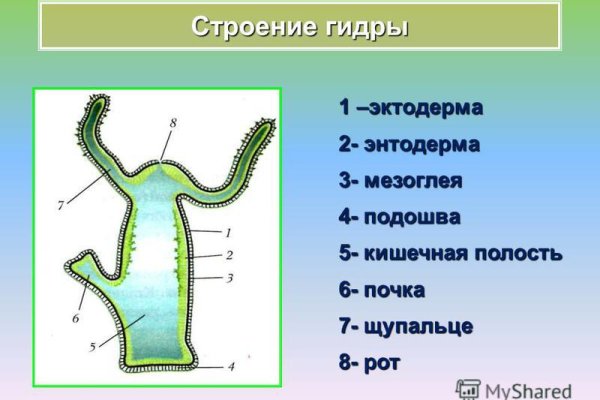 Ссылки на сайты даркнета
